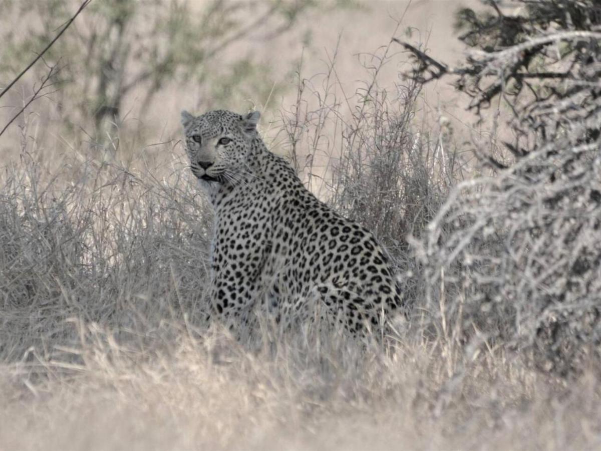 Ferienwohnung Kruger Nights Marloth Park Exterior foto