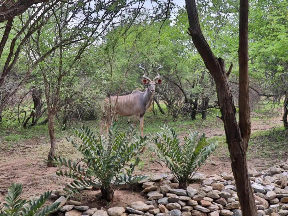 Ferienwohnung Kruger Nights Marloth Park Exterior foto
