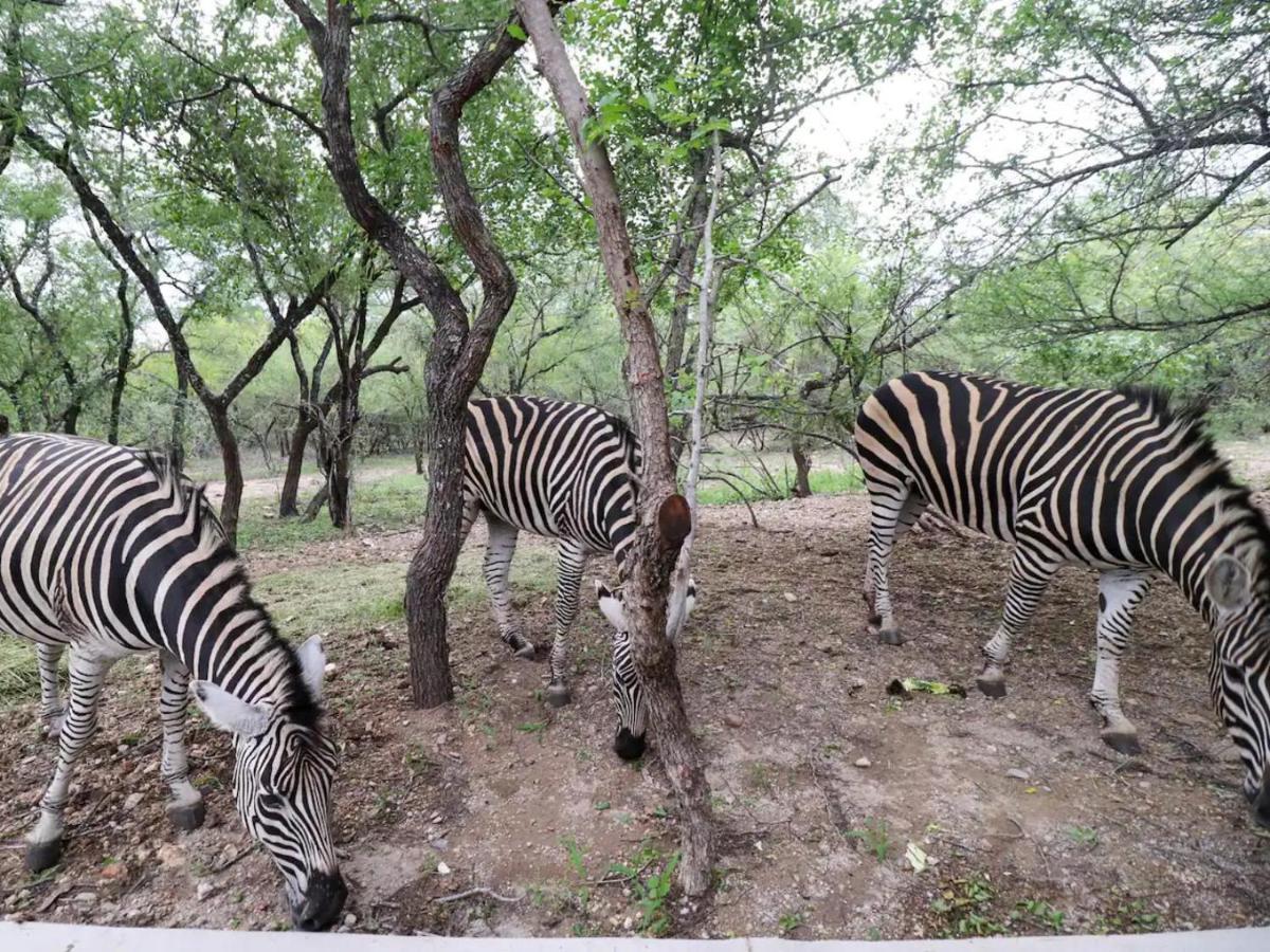 Ferienwohnung Kruger Nights Marloth Park Exterior foto